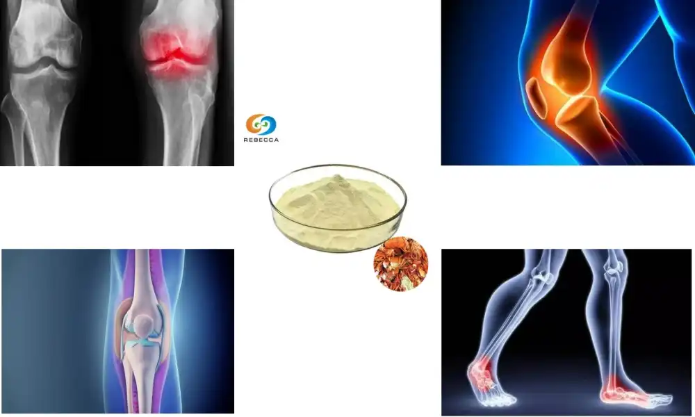 Does chitosan oligosaccharide have calcium in it?